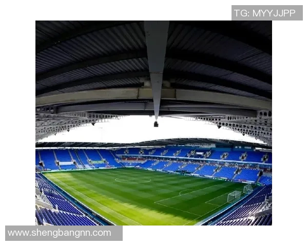 2006年雷丁主场迎战切尔西的精彩比赛回顾与分析